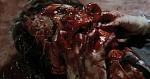 Slugs (1988) A Guy Head Exploded With Parasites Found in the Blood Stream of Slugs .. Total Disgusto!!!